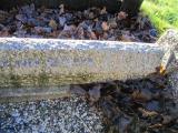 image of grave number 362649